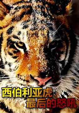 (Discover..