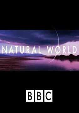 (BBC)Ȼ..